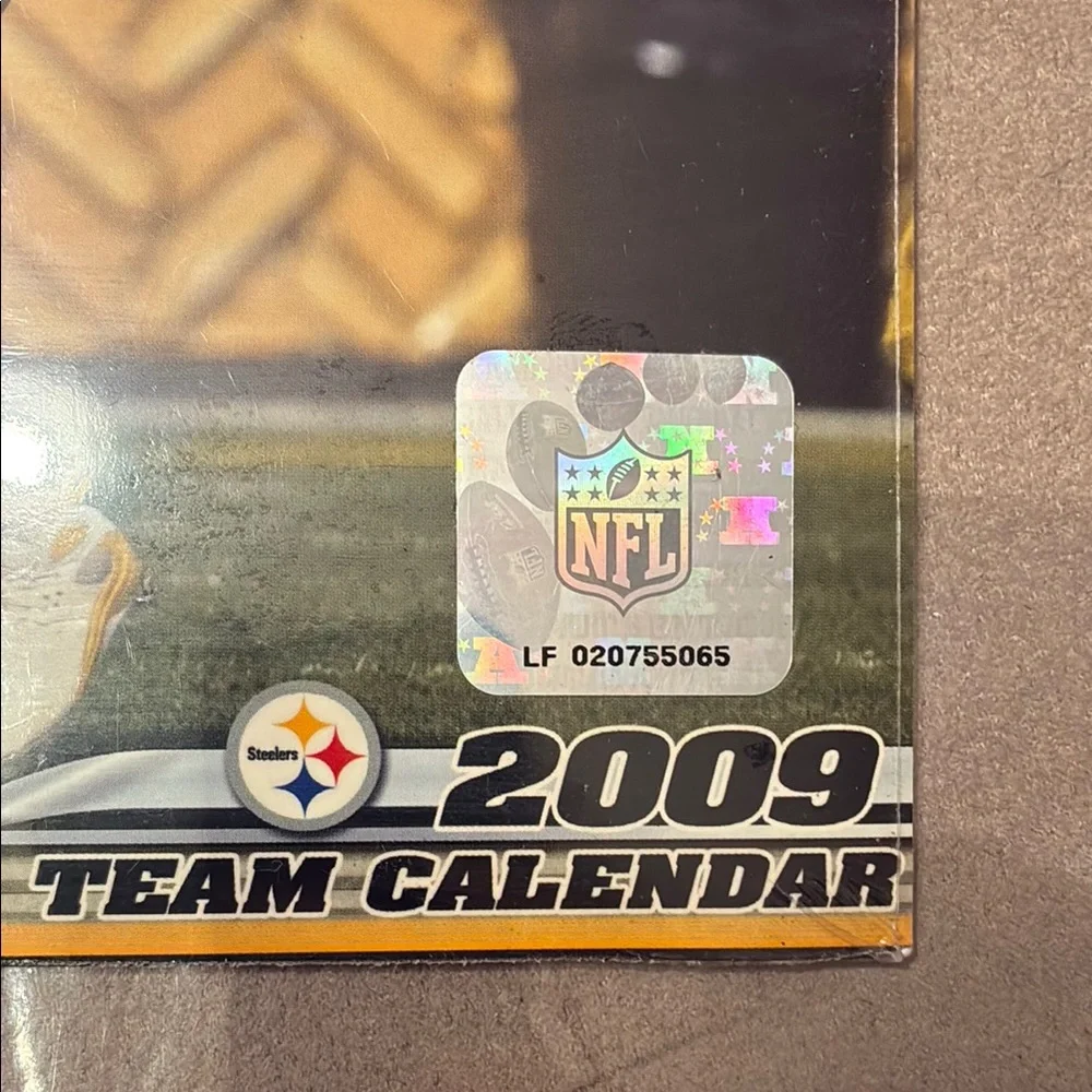 Pittsburgh Steelers 2009 Mini Calendar